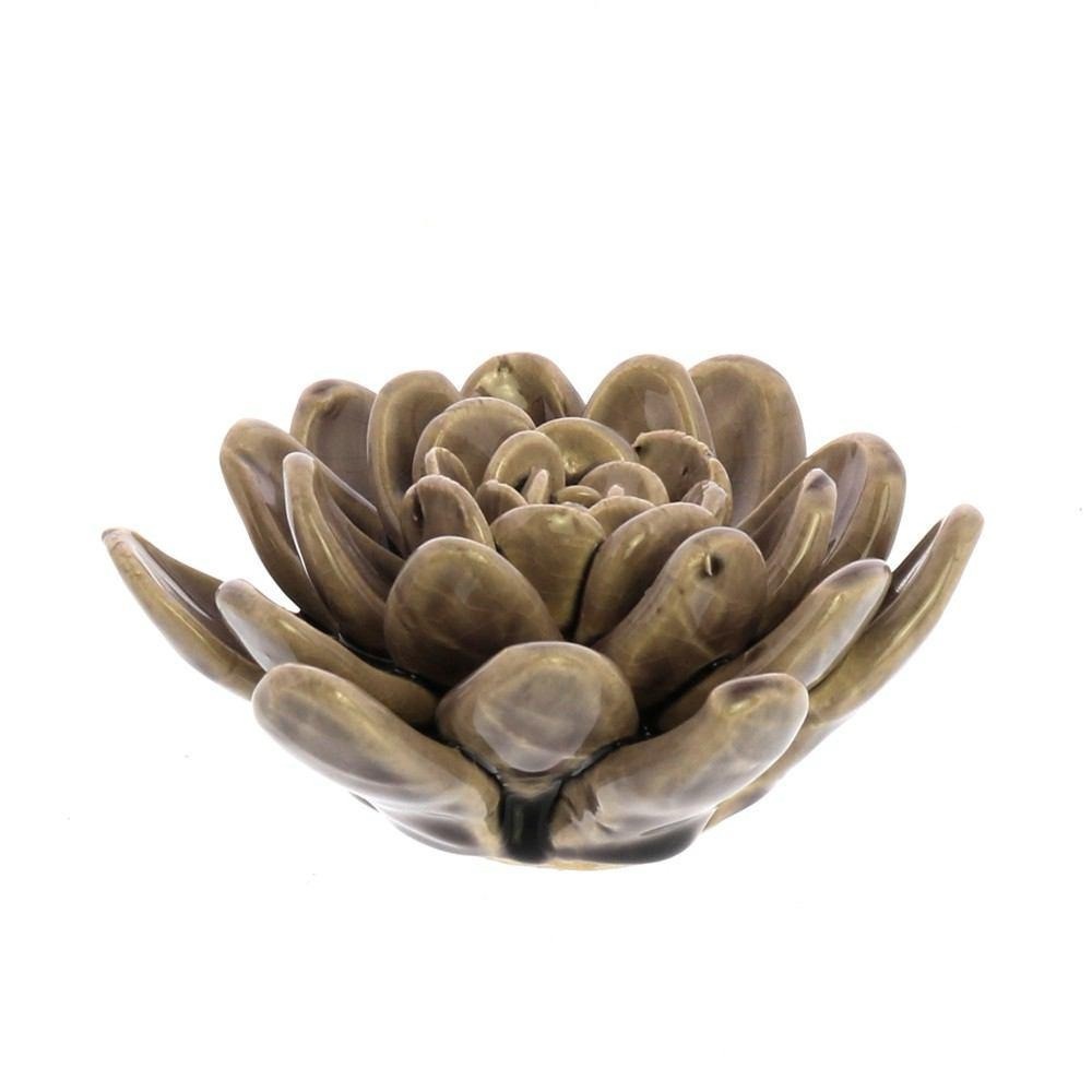 Nordstrom Ceramic Succulents - Picture 6 of 9